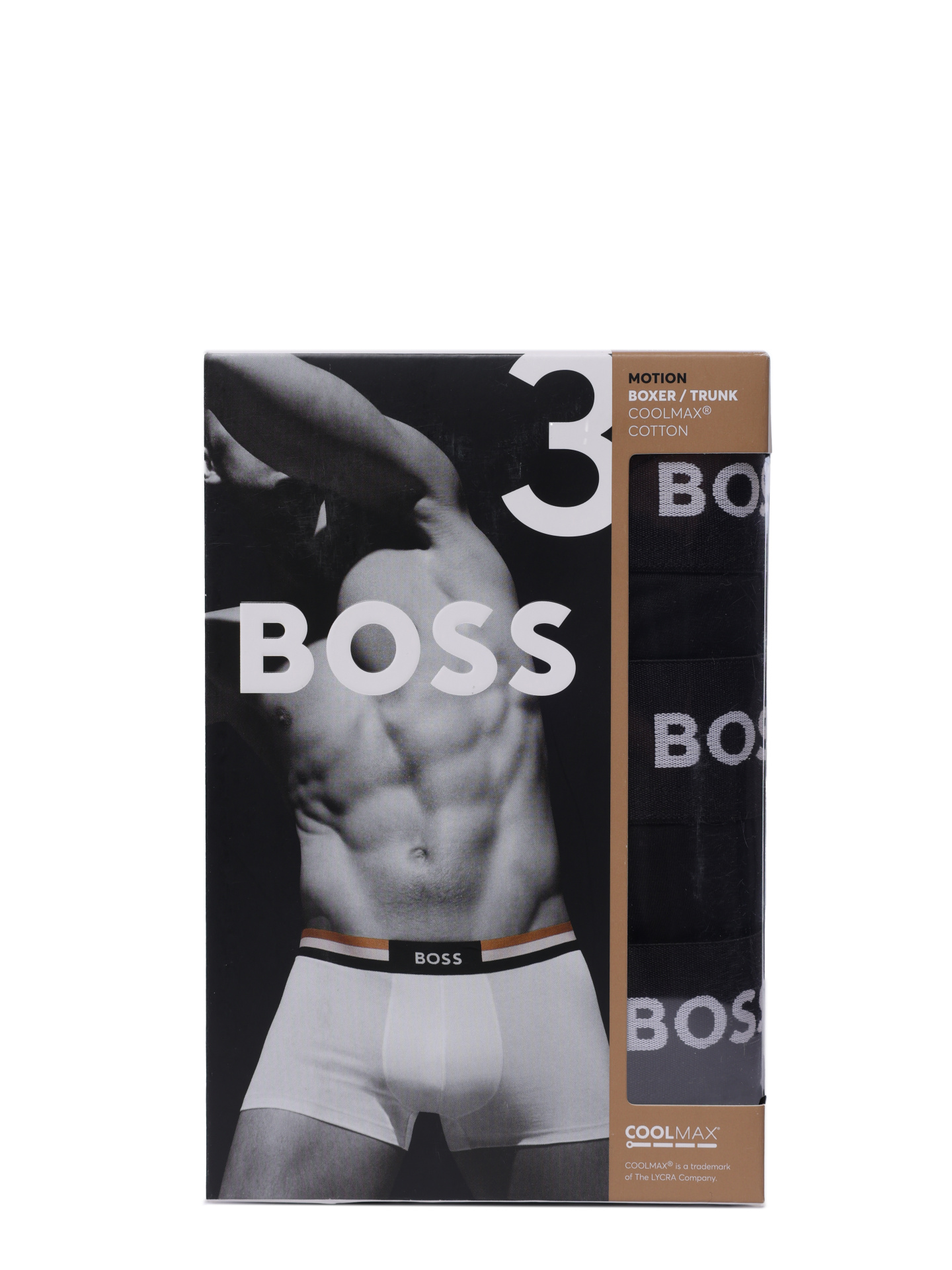 Шорты — купить в интернет-магазине Verdistore