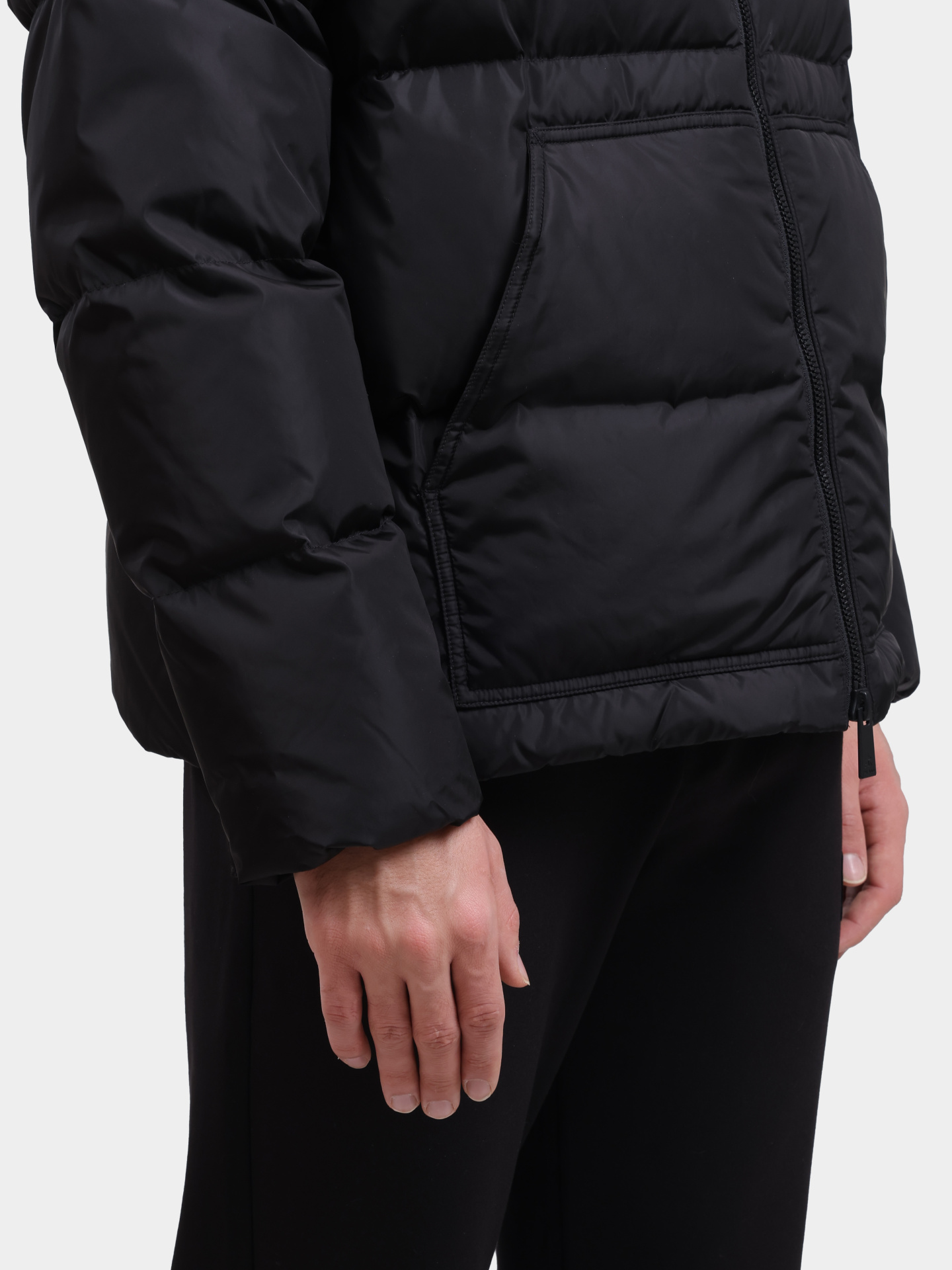 Пуховик Premiata PA 1041 мужской с высоким воротом — купить в интернет-магазине Verdistore