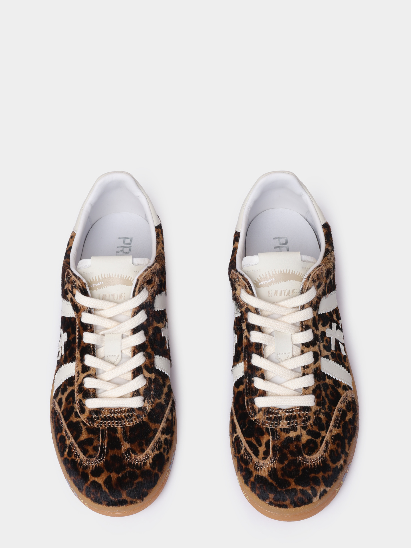 Кеды Premiata BONNIE_D VAR 7032 леопардовые женские — купить в интернет-магазине Verdistore