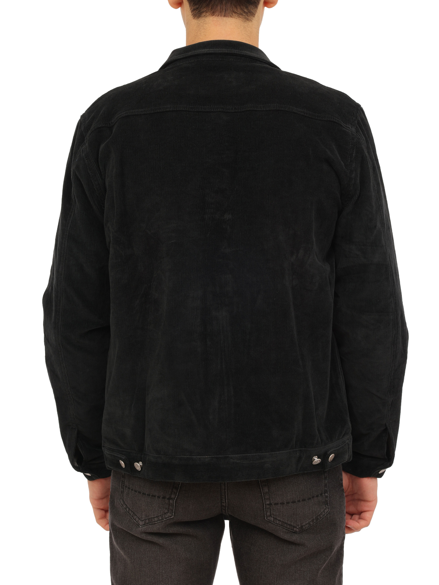 Куртка — купить в интернет-магазине Verdistore