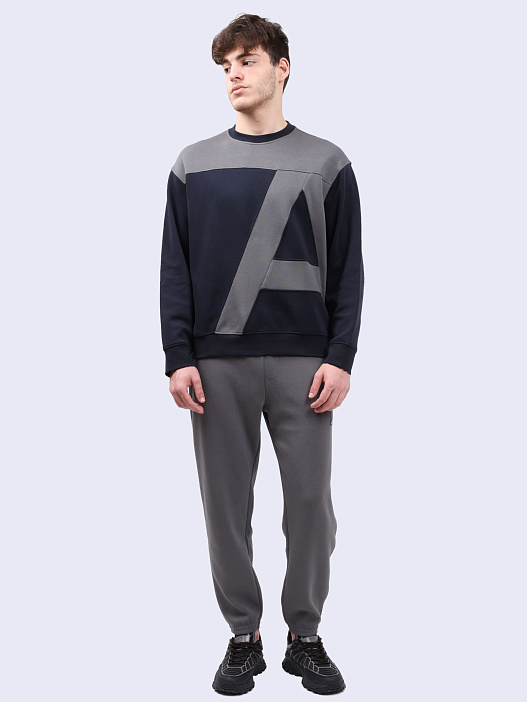 Брюки спортивные Armani Exchange 6DZPJA ZJNKZ 19AC серые мужские — купить в интернет-магазине Verdistore