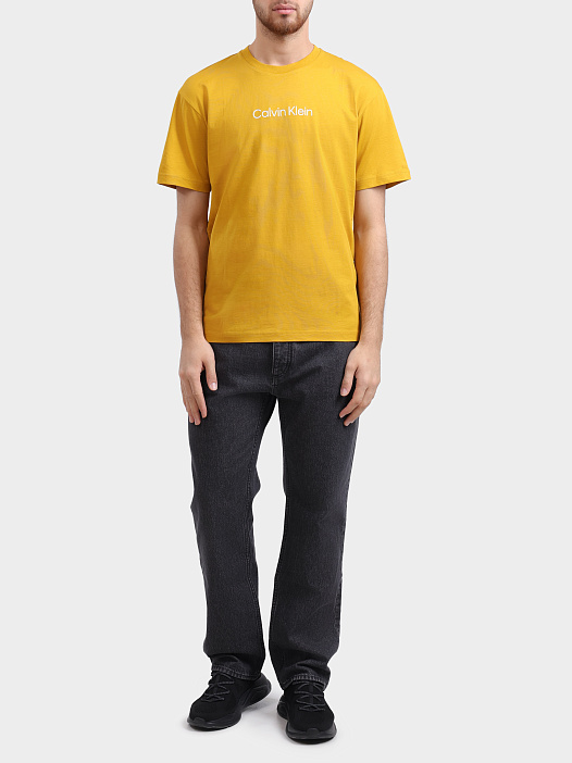 Футболка Calvin Klein K10K111346 — купить в интернет-магазине Verdistore