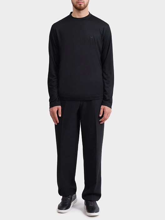 Брюки Emporio Armani EM005901 AF13674 UC001 черные мужские — купить в интернет-магазине Verdistore
