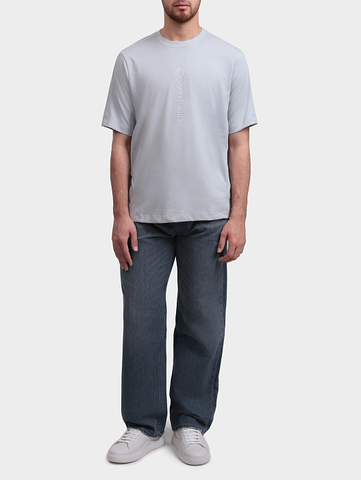 Футболка Calvin Klein LVGMS6K101 PCU серая мужская — купить в интернет-магазине Verdistore